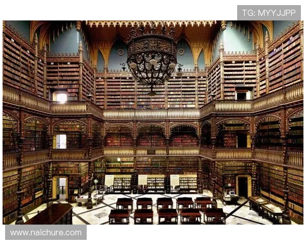 尊龙d88手机版ap账号安全保障措施,保障玩家个人信息与资金安全,放心游戏 尊龙d88手机版ap账号安全保障措施,保障玩家个人信息与资金安全,放心游戏