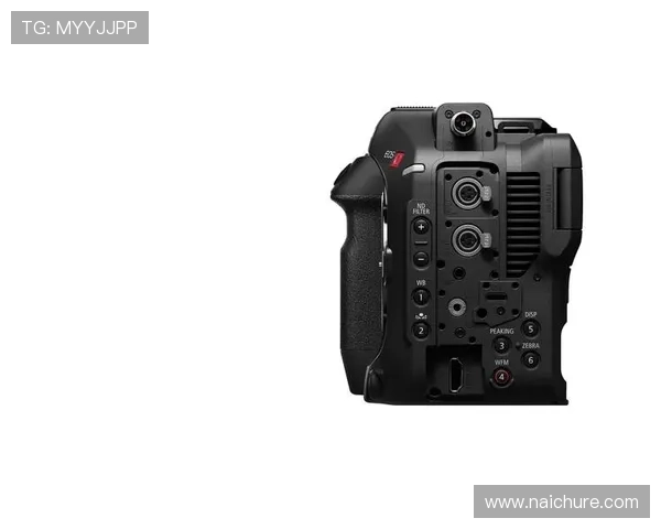 Z6尊龙安卓版玩家评价与反馈,了解真实游戏体验与优化建议