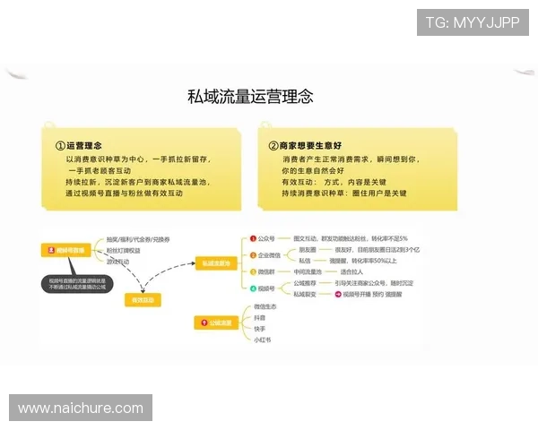 尊龙线上国际：如何利用数据分析提升游戏运营效率与用户粘性