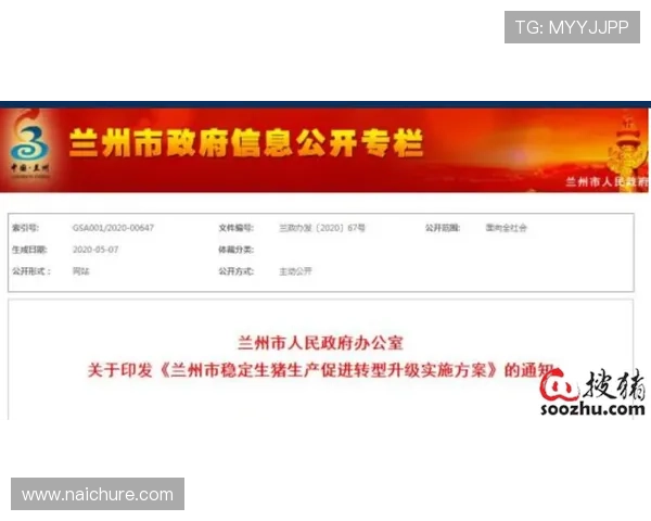 凯时KS中国官网安全保障措施全面升级，保障玩家账号信息安全与资金安全