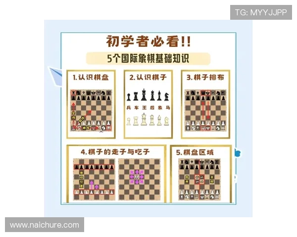 尊龙凯时人生就是博中国官网帮助新手快速入门的详细指南与操作技巧